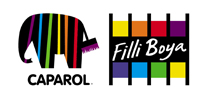 Filli Boya